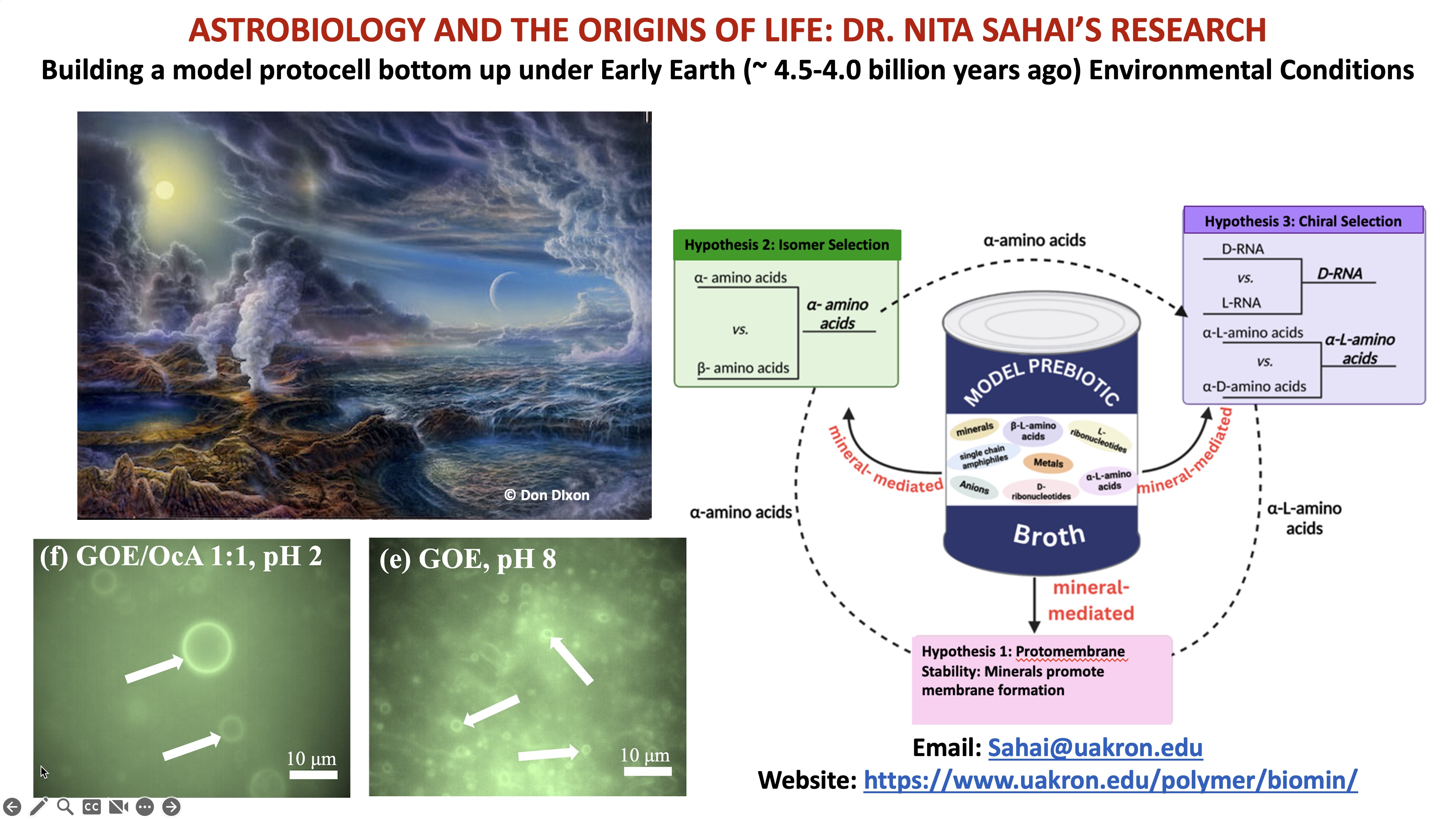 Tiered Mentoring Program Proposal Fig_NitaSahai_Fig.jpg